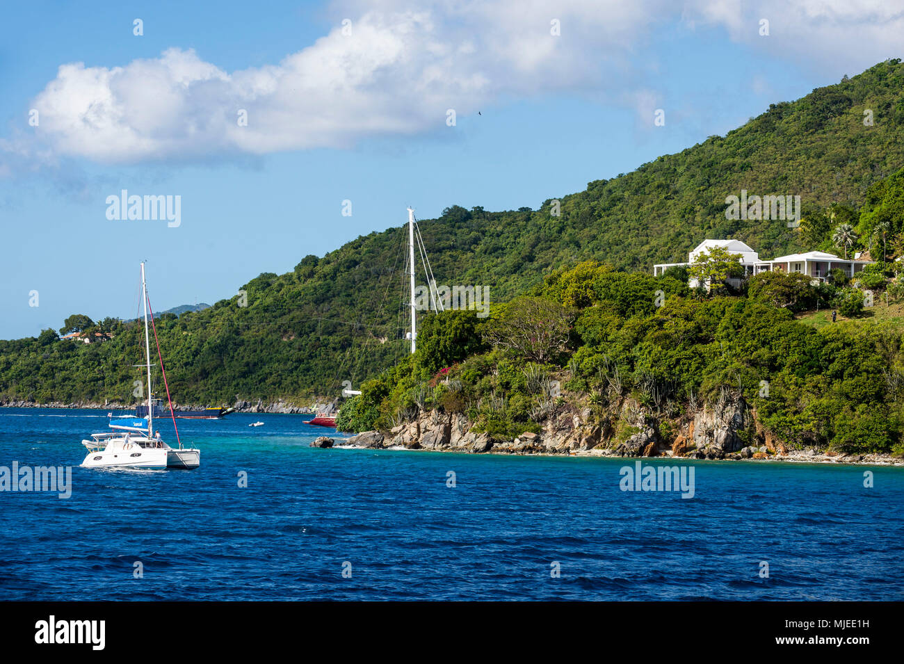Beau littoral de Tortola, Îles Vierges Britanniques Banque D'Images