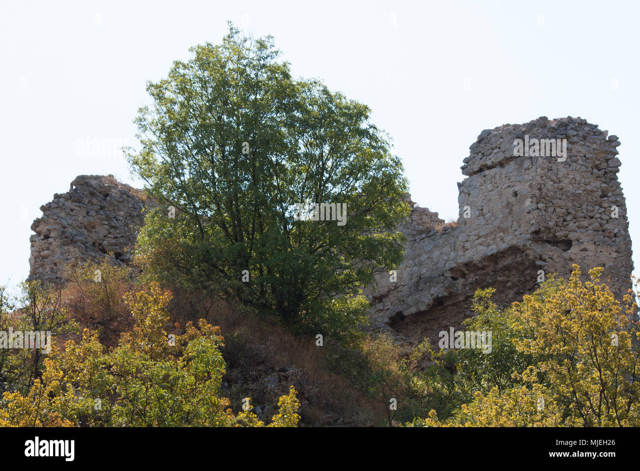 Ancienne forteresse sur une montagne Banque D'Images