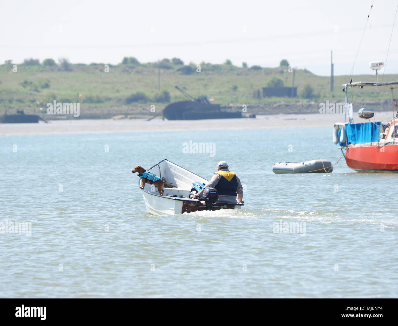 Queenborough, Kent, UK. 5 mai, 2018. Météo France : une journée ensoleillée et chaude dans le Kent. Queenborough Un homme ferries son chien dans une offre. Credit : James Bell/Alamy Live News Banque D'Images