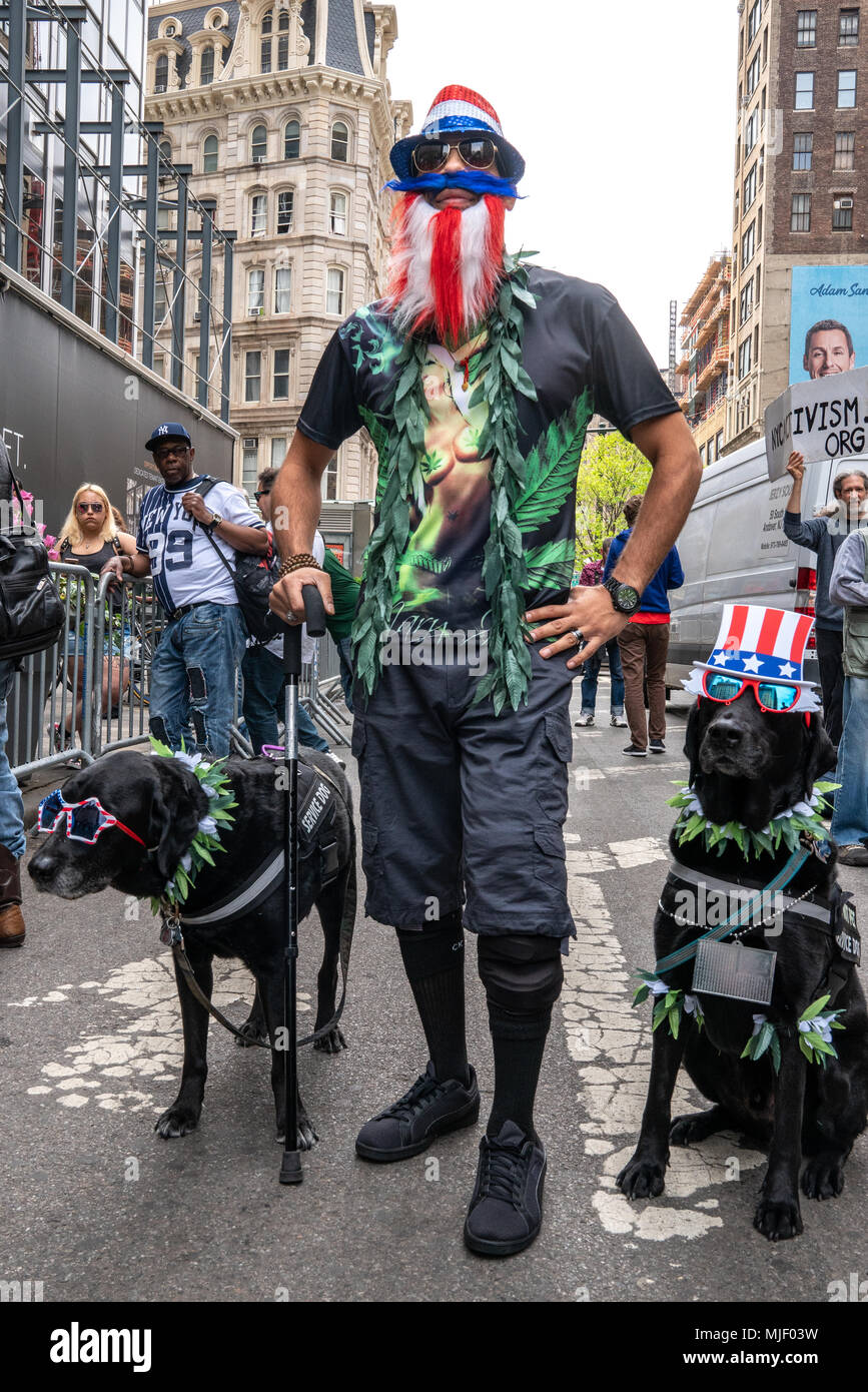 New York, États-Unis, 5 mai 2018. Vétéran de l'armée américaine Joshua Ace Acevedo participe avec ses chiens de service 'Bruce Lee' (R) et bélier en 2018 NYC Le Cannabis parade, une tradition vieille de 40 ans dans la ville de New York pour exiger la fin de la prohibition du cannabis. Photo par Enrique Shore / Alamy Live News Banque D'Images