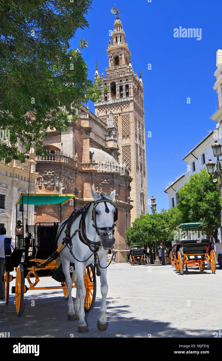 La Cathédrale de Séville et de chariots, Espagne Banque D'Images