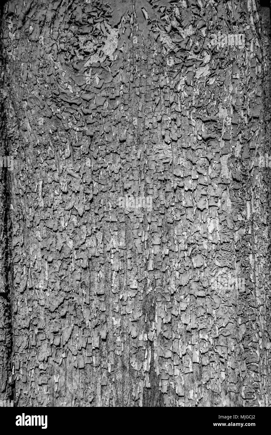 L'arrière-plan. Vieille planche en bois avec de la peinture marron fissurée. Banque D'Images