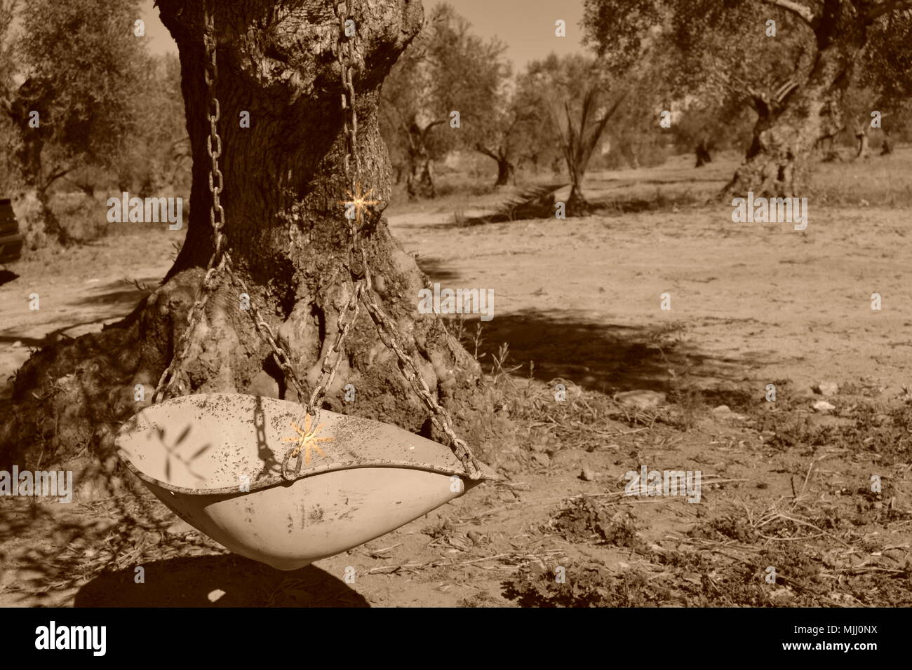 Swing dans un olivier avec sépia et saveur vintage Banque D'Images