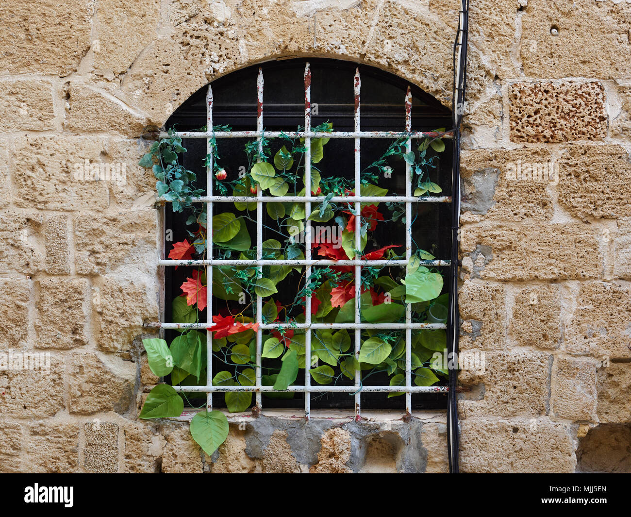 Dans la fenêtre de l'ancien mur de la forteresse de Jaffa, derrière le treillis de métal fleurs rouge vif, en Israël. Banque D'Images