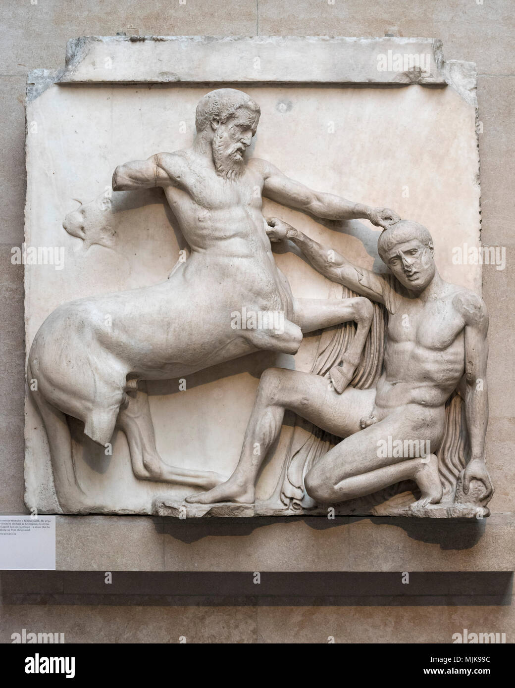 Londres. L'Angleterre. British Museum, piétine un Lapith Centaur tombé. En metope (XXX) du Sud, du Parthénon sur l'Acropole à Athènes, ca. 447BC Banque D'Images