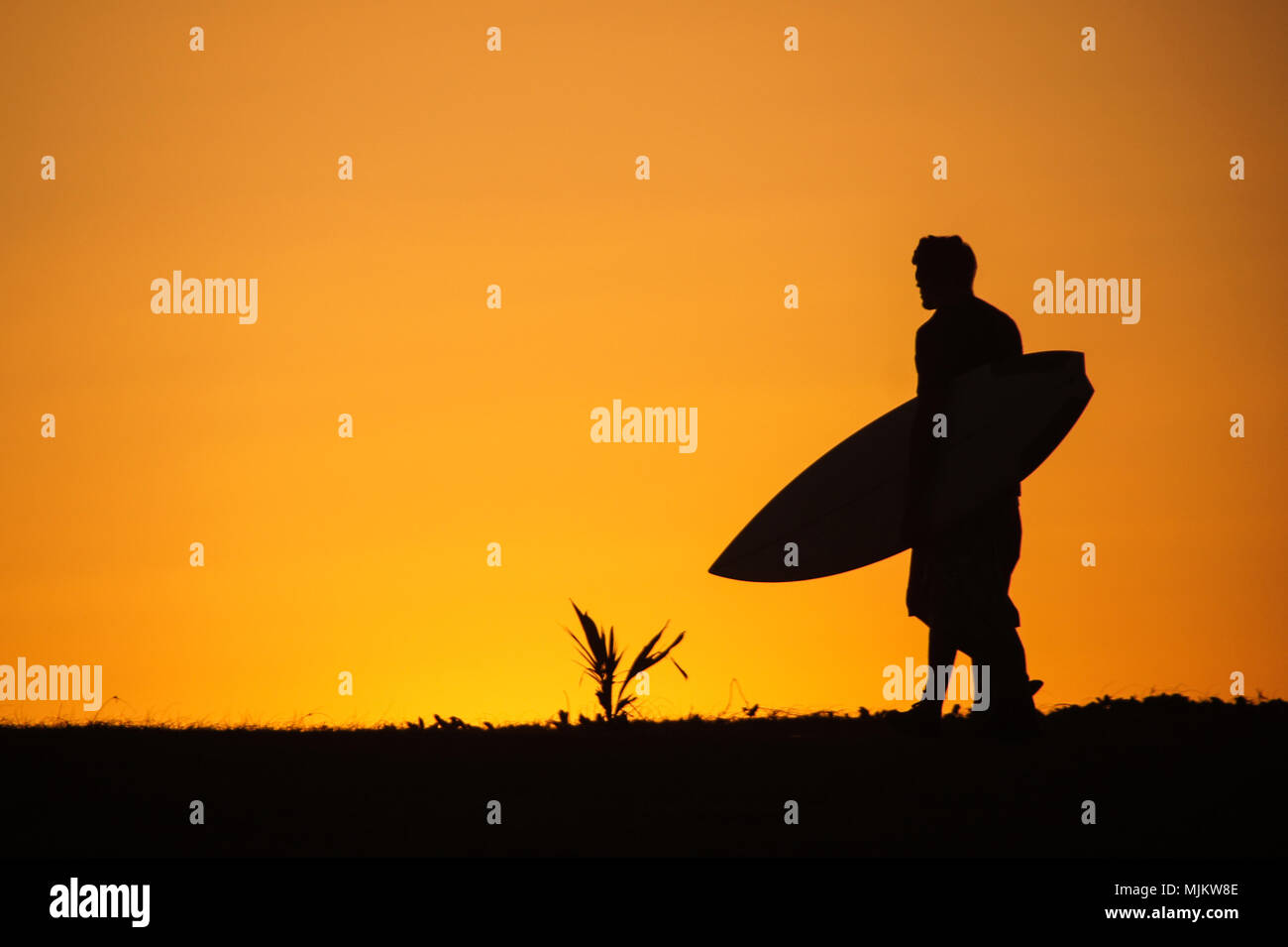 Homme surfeur sur fond coucher with surfboard Banque D'Images