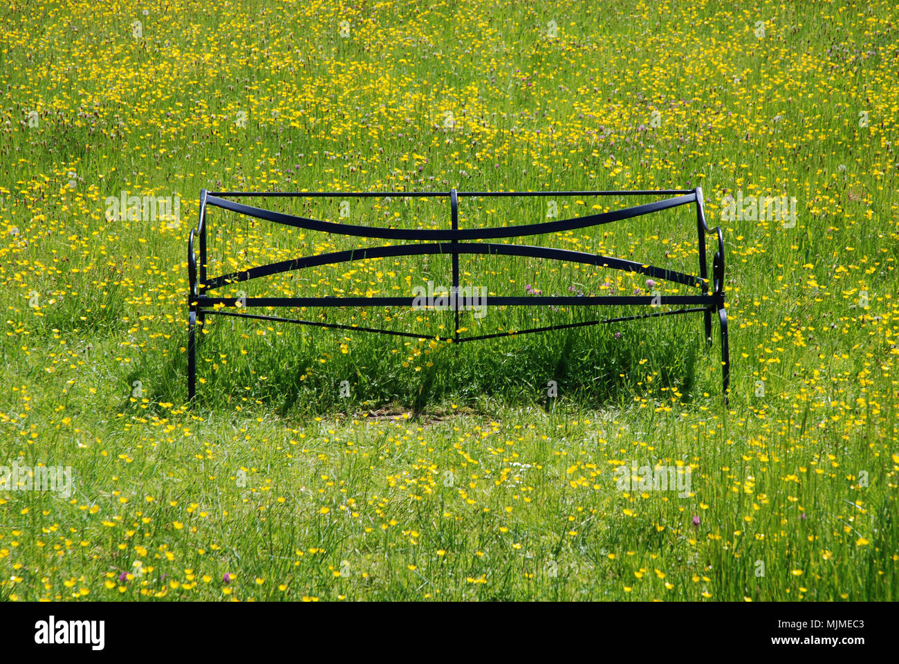 Banc en métal Victorian Prairie, Castle Coole, Enniskillen, dans le comté de Fermanagh, Irlande du Nord Banque D'Images