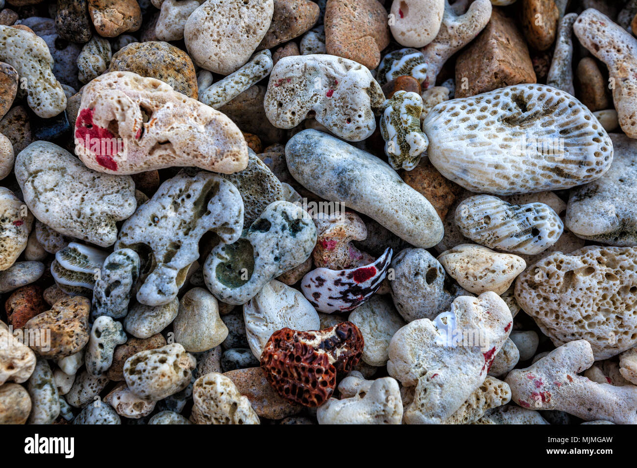 Peblles et morceaux de coraux sur une plage dans les îles Vierges britanniques Banque D'Images