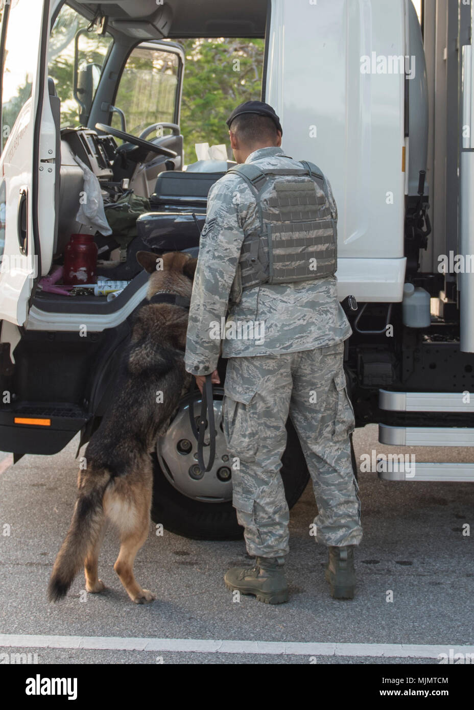 KitKat, 18e Escadron des Forces de sécurité, chien de travail militaire effectue une recherche de véhicules avec le sergent de l'US Air Force. David Maestas, 18th FS de chien de travail militaire le 12 décembre 2017, à Kadena Air Base, au Japon. Les chiens de travail militaire sont capables d'entrer dans leurs homologues des lieux ne peut pas assurer Kadena est sûr et sécurisé. (U.S. Air Force photo par un membre de la 1re classe Greg Erwin) Banque D'Images