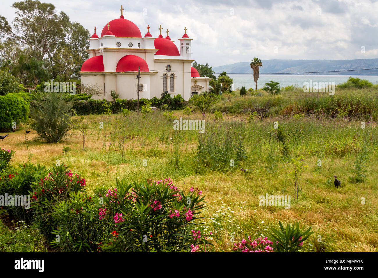 L'Église orthodoxe grecque des Douze Apôtres à Capharnaüm de la mer de Galilée, lac de Tibériade, Israël. Banque D'Images