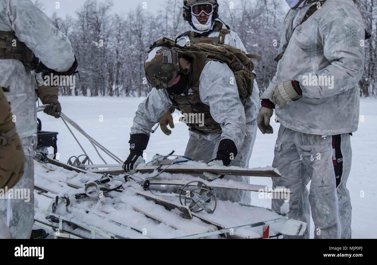 Les aviateurs américains affectés au 321e Escadron tactique spéciale, 352e Escadre d'opérations spéciales de l'arrière des skis de déchargement des traîneaux à neige attaché à mener à la formation d'hiver de l'Arctique près de Kiruna, Suède, le 23 février 2017. La formation comprenait quatre semaines de la guerre d'hiver de base aux côtés des forces spéciales de l'armée américaine. Forces armées et les civils afficher courage courage dévouement engagement et le sacrifice Banque D'Images