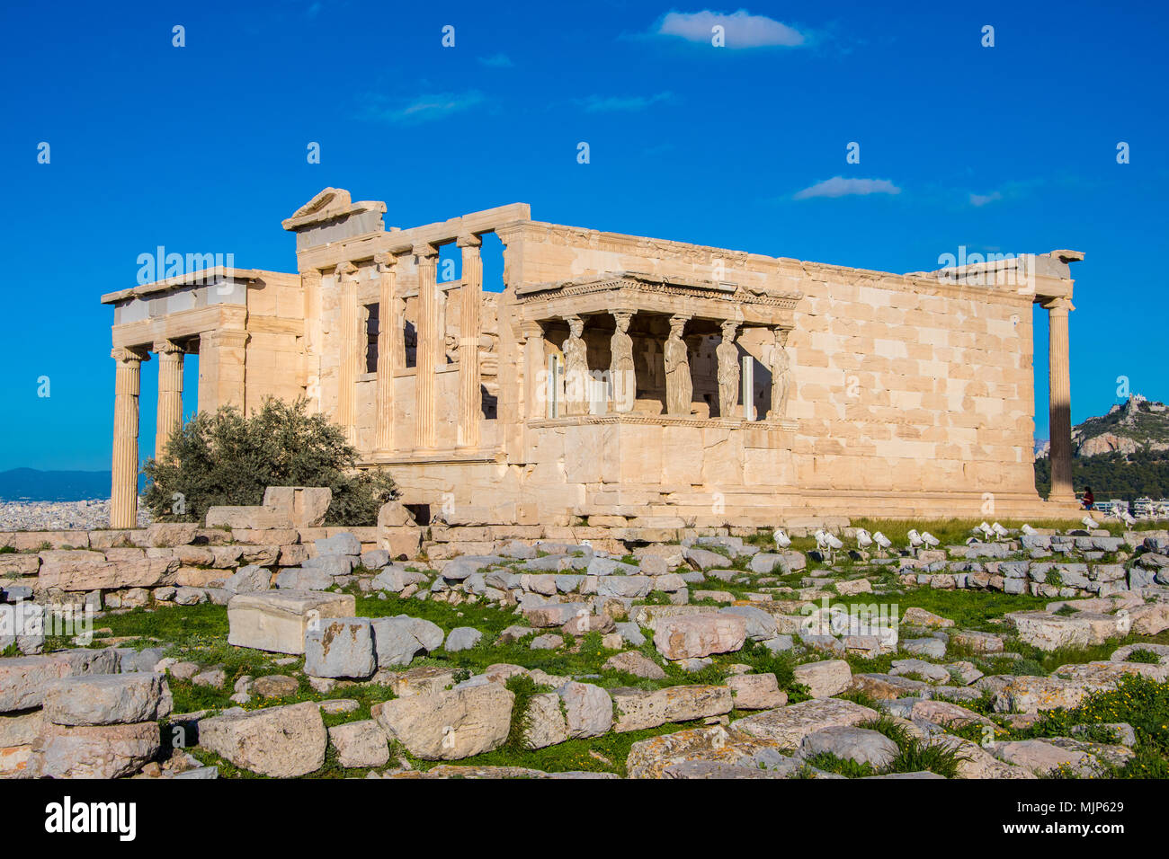 L'Erechtheion ou Erechtheum, un ancien temple grec de l'acropole d'Athènes en Grèce qui a été dédiée à la fois Athena et Poseidon Banque D'Images