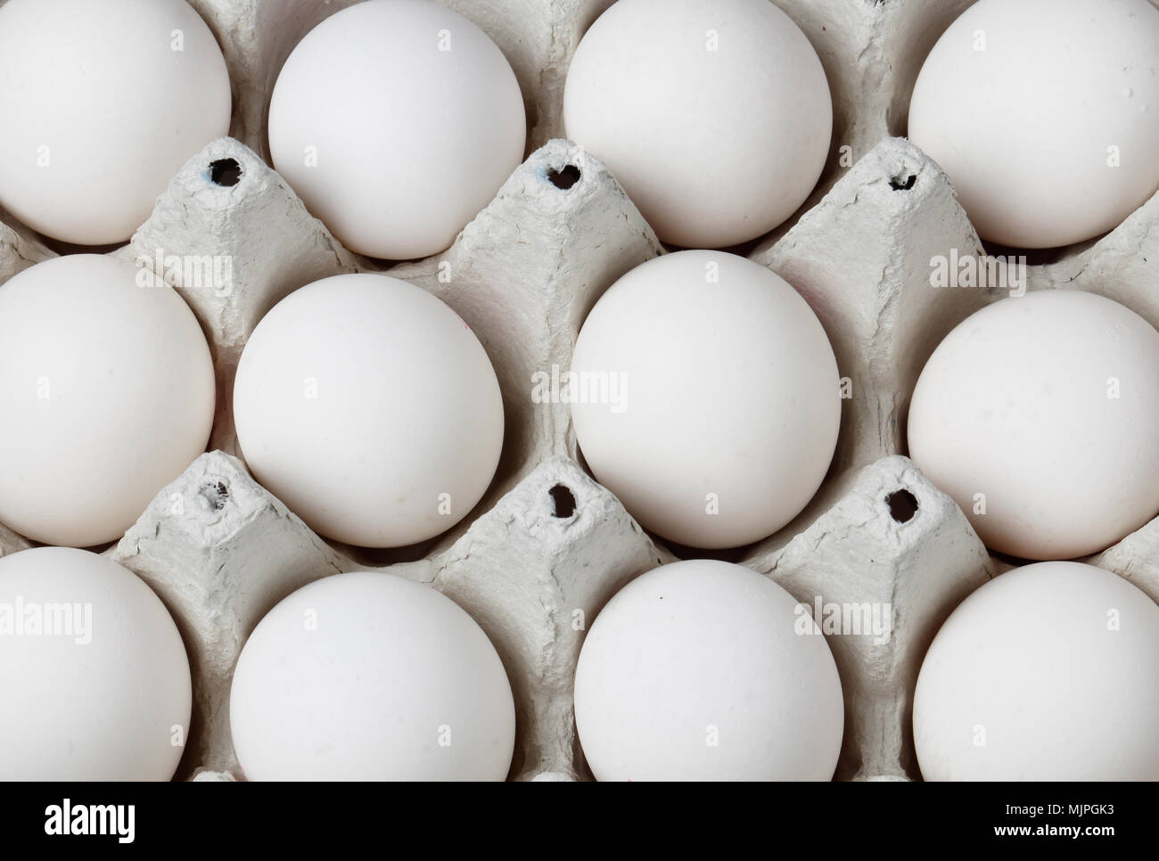 Close up de douze œufs de poule dans un carton. Banque D'Images