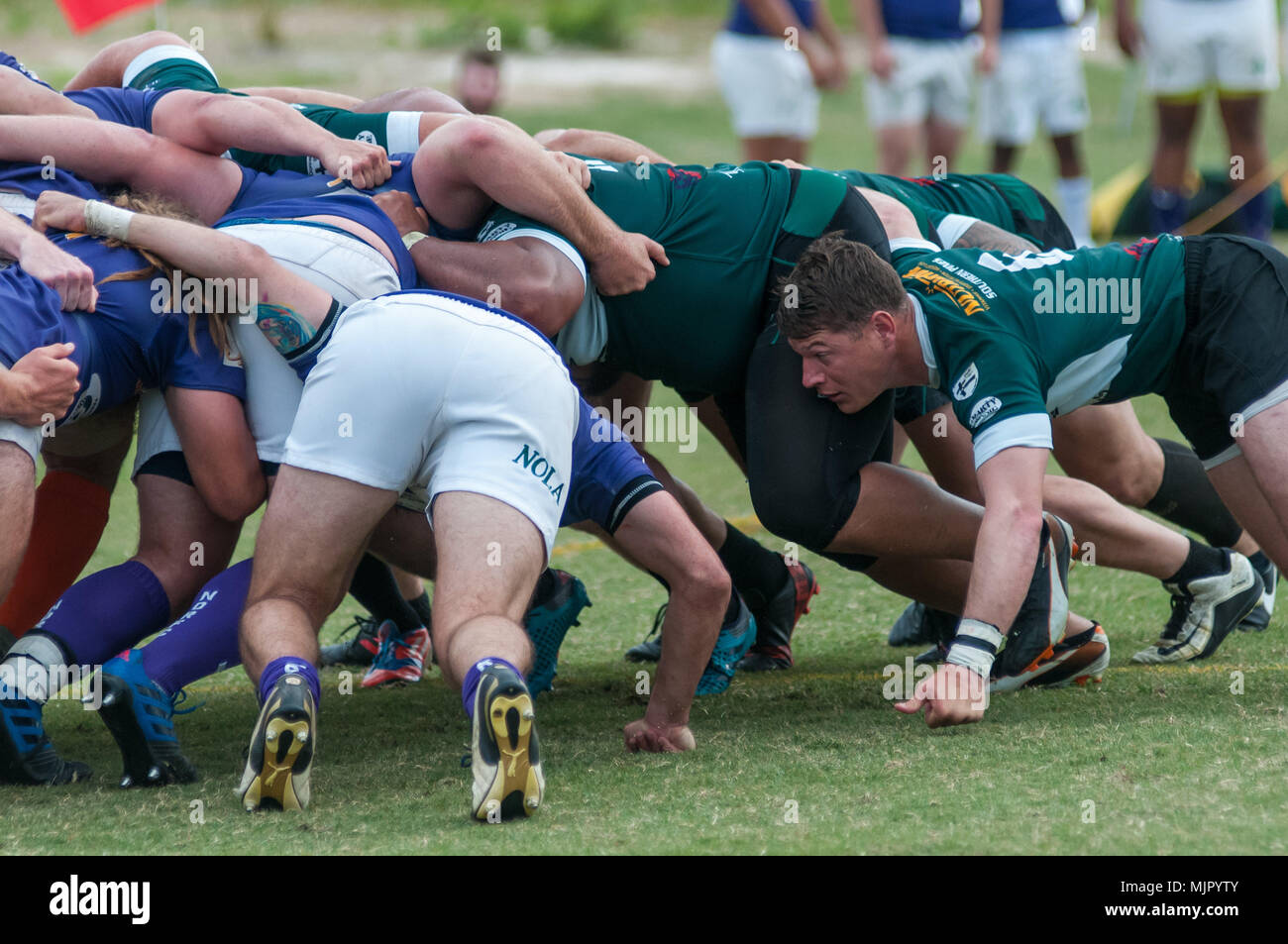 Southern Pines, N.C, USA. 13 avr, 2018. 5 mai 2018 - Southern Pines, NC, USA - Southern Pines Big Josh Cônes Dunleavy ancre le côté gauche de la mêlée lors d'un match entre les pins du sud et la Nouvelle Orléans à la Division 2018 2 Conférence Sud Rugby Championships à la National Athletic Village. Le quartier de la Nouvelle Orléans, battu 71-12 à la ronde de 32 à l'avance à la Conférence Sud Championship demain. Credit : Timothy L. Hale/ZUMA/Alamy Fil Live News Banque D'Images