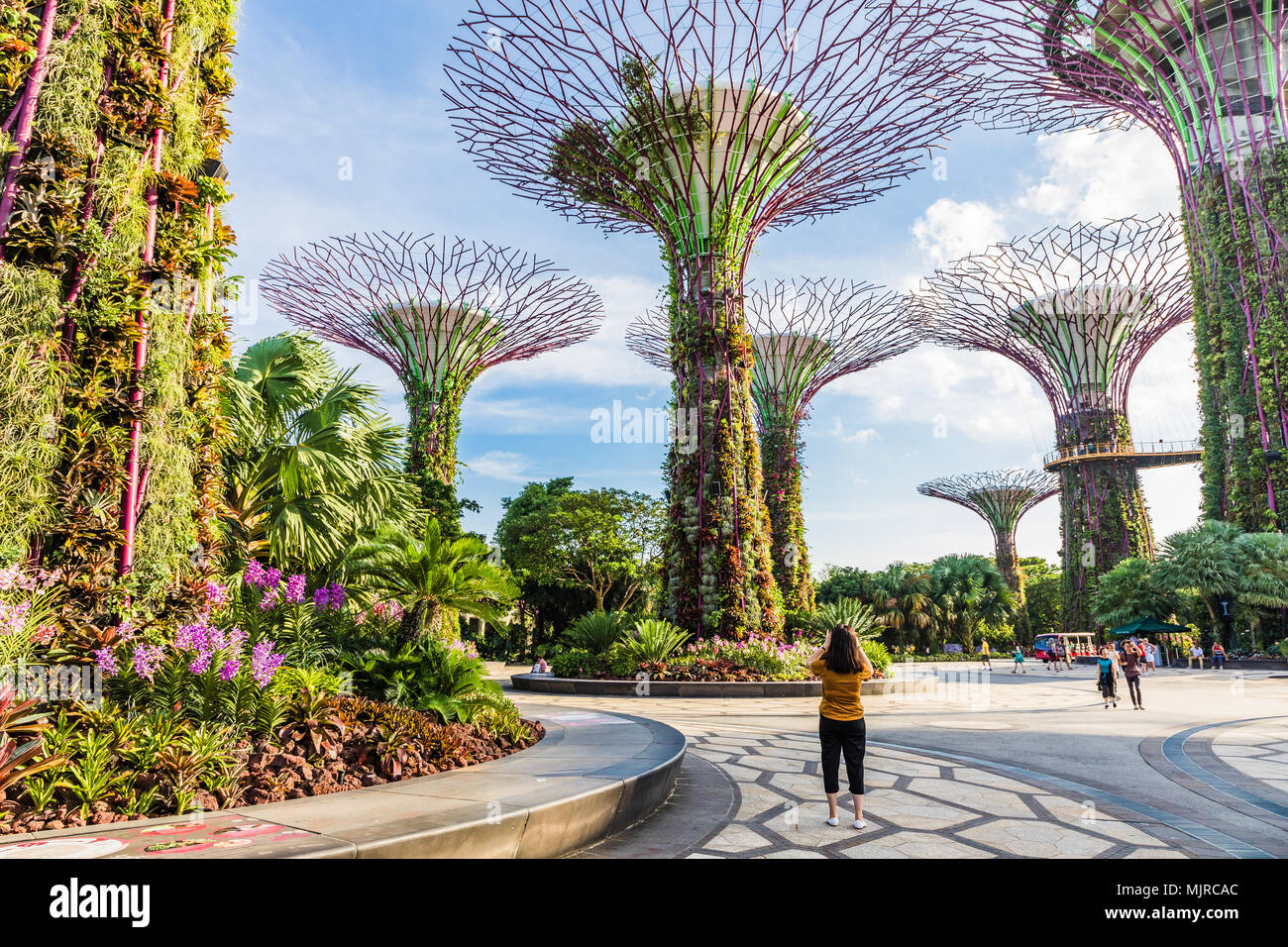 MARINA BAY, Singapour - Mars 23, 2018 : une femme prend une photo en couleurs de ce Supertree Grove dans les jardins de la baie avec d'autres visiteurs dans la zone Banque D'Images