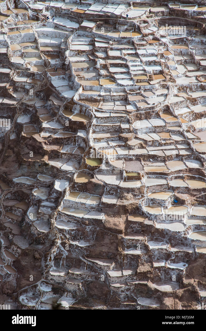 Étangs de sel d'Inca près de Maras (Pérou) Banque D'Images