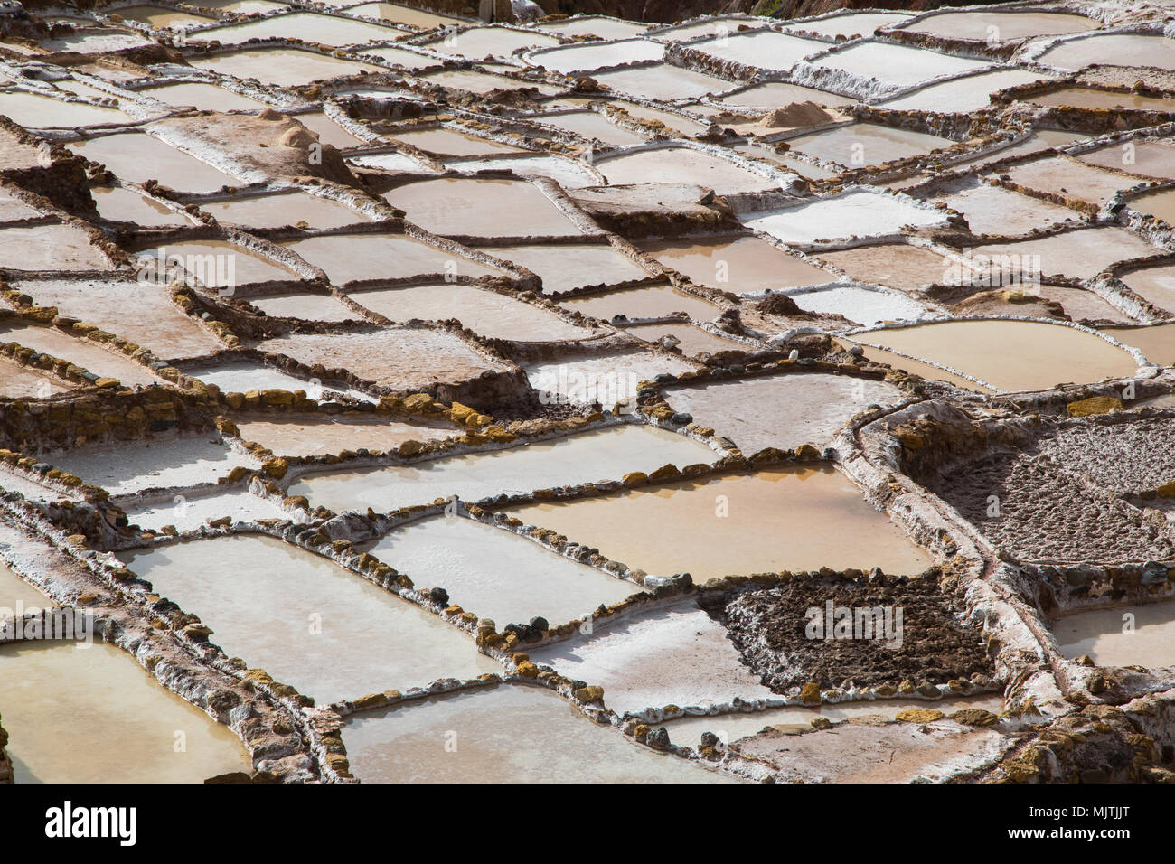 Étangs de sel d'Inca près de Maras (Pérou) Banque D'Images