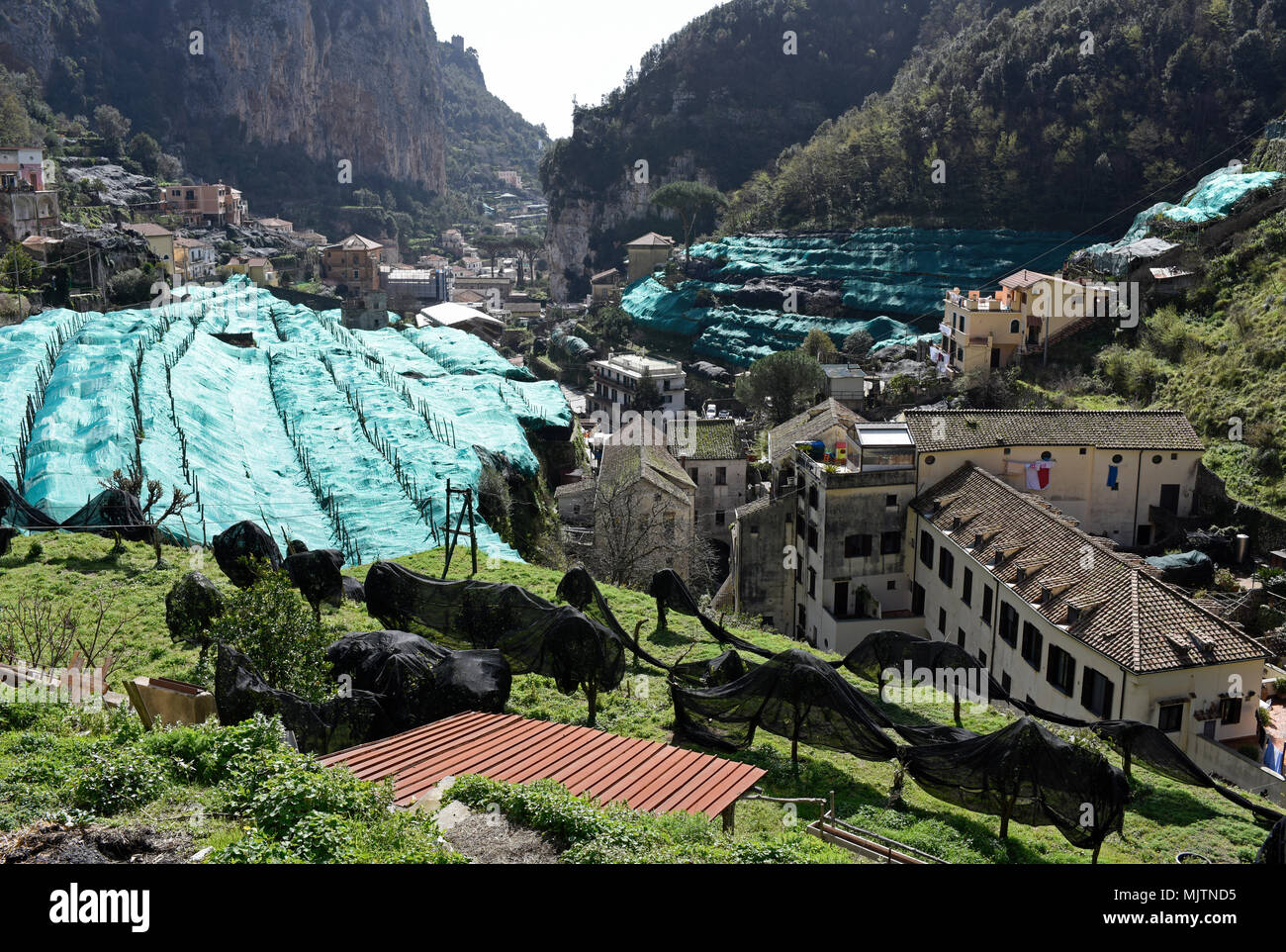 Balade dans la Valle delle Ferriere Nature Reserve de Amalfi à Pontone et Ravello, Côte Amalfitaine, Italie Banque D'Images