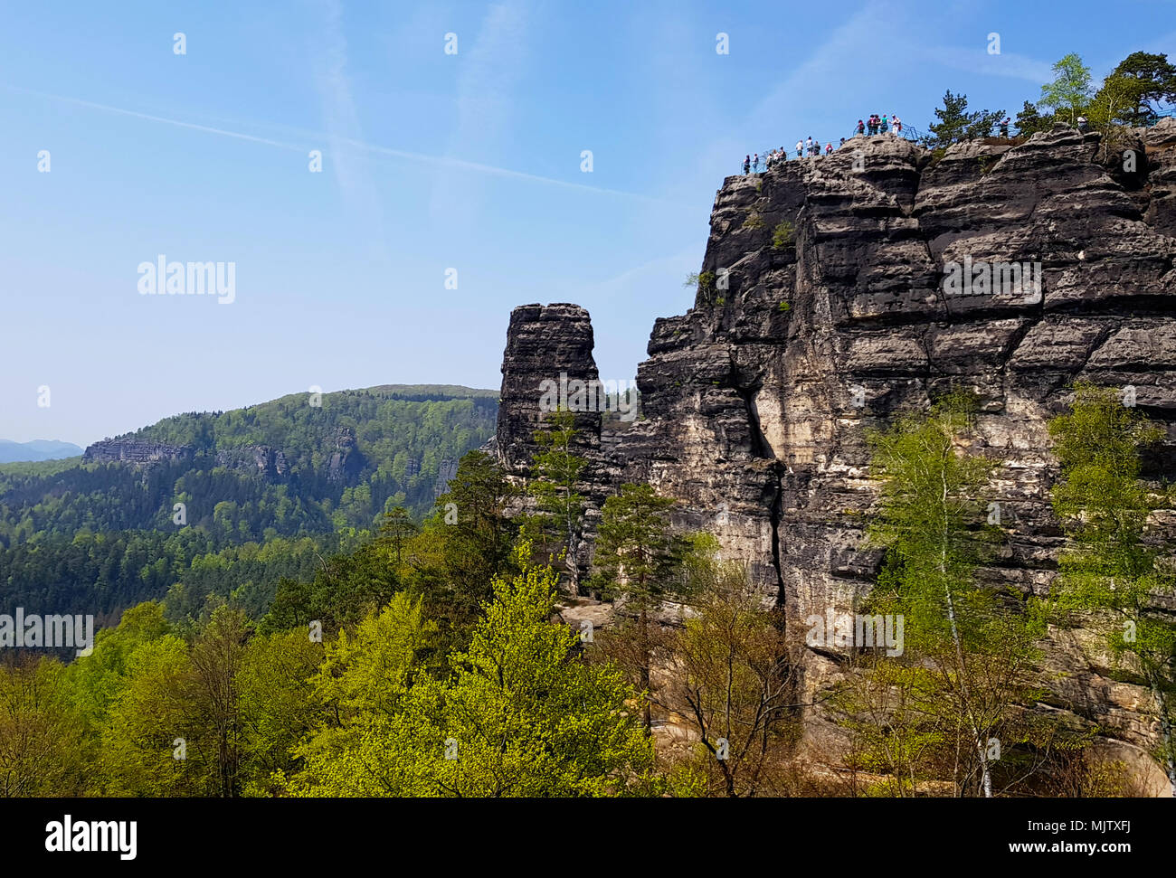 Le parc national de Podyjí (République tchèque : Národní park Podyjí) est un parc national dans la région de Moravie du sud de la République tchèque. À côté du parc national Thayatal Autriche sur la frontière, ensemble, ils sont appelés les Inter-National park. Podyjí est l'un de la République tchèque, quatre parcs nationaux. Il protège les forêts quasi-naturelle le long de la vallée de la rivière Dyje profonde. Banque D'Images