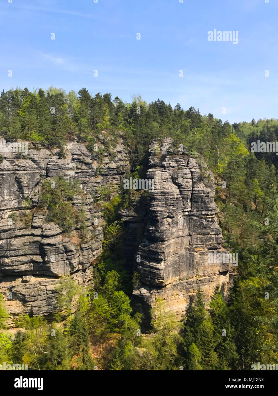 Le parc national de Podyjí (République tchèque : Národní park Podyjí) est un parc national dans la région de Moravie du sud de la République tchèque. À côté du parc national Thayatal Autriche sur la frontière, ensemble, ils sont appelés les Inter-National park. Podyjí est l'un de la République tchèque, quatre parcs nationaux. Il protège les forêts quasi-naturelle le long de la vallée de la rivière Dyje profonde. Banque D'Images