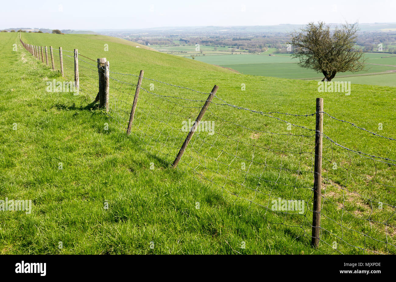 En clôture le long du haut de la pente de l'escarpement de craie à la sud-est de l'over Vale de Pewsey, près de Knap Hill, Wiltshire, England, UK Banque D'Images