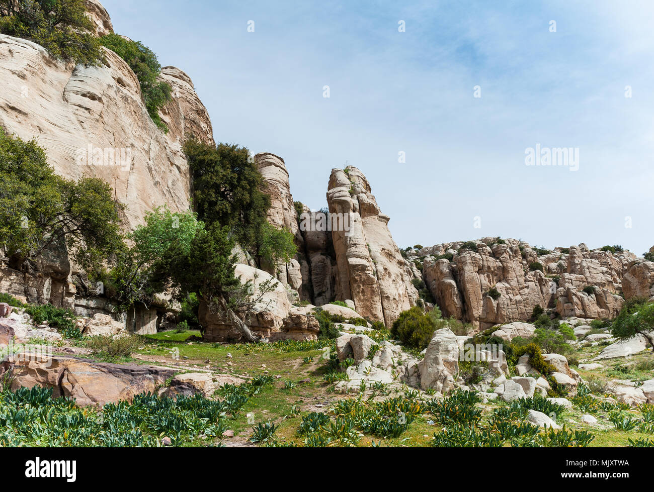 Dana de la biosphère est la plus grande réserve naturelle, situé dans le centre-sud de la Jordanie. Réserve de biosphère de Dana a été fondée en 1989 dans la région en Banque D'Images