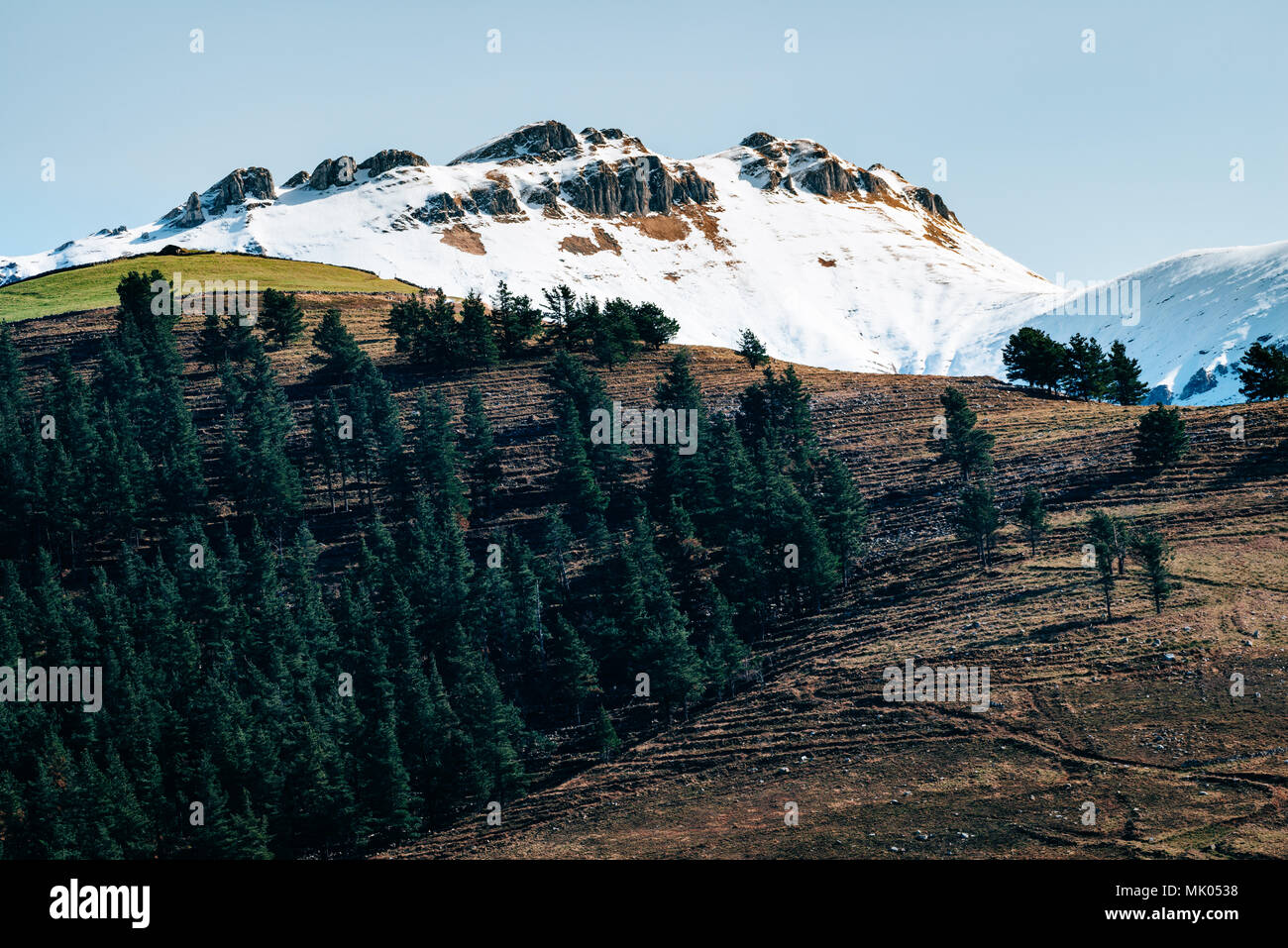 Les montagnes avec la neige et une forêt de Cantabria, ESPAGNE Banque D'Images