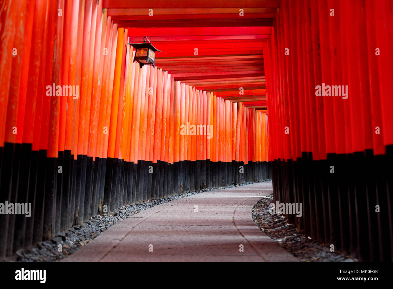 Fushimi Inari shrine in Kyoto, Japon Banque D'Images