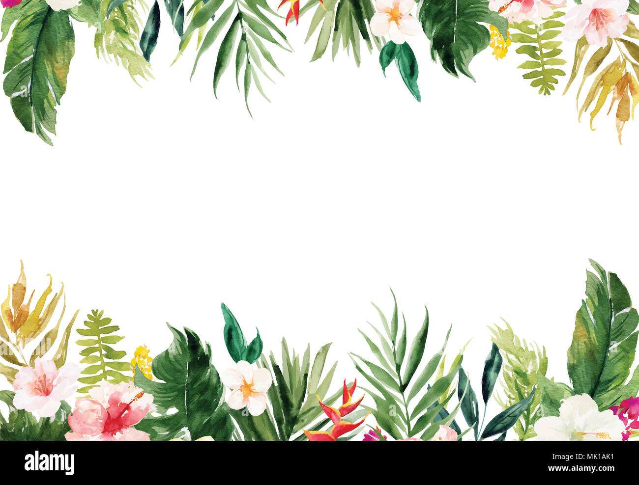 La vierge blanche horizontale papier fond avec plantes et fleurs colorées border Banque D'Images