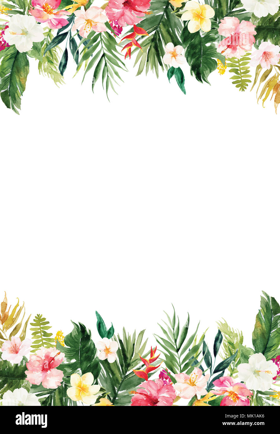 Le papier blanc vide vertical arrière-plan avec des plantes colorées et de fleurs border Banque D'Images