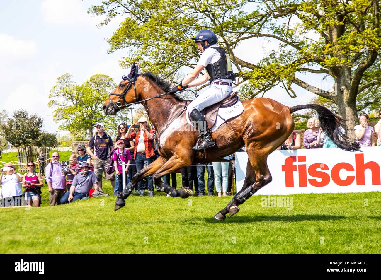 Cross Country. Tom McEwan. Toledo de Kerser. GBR. Brosse de Fisher. 30 Clôture.Mitsubishi Badminton Horse Trials. Le Badminton. UK. 05/05/2018. Banque D'Images