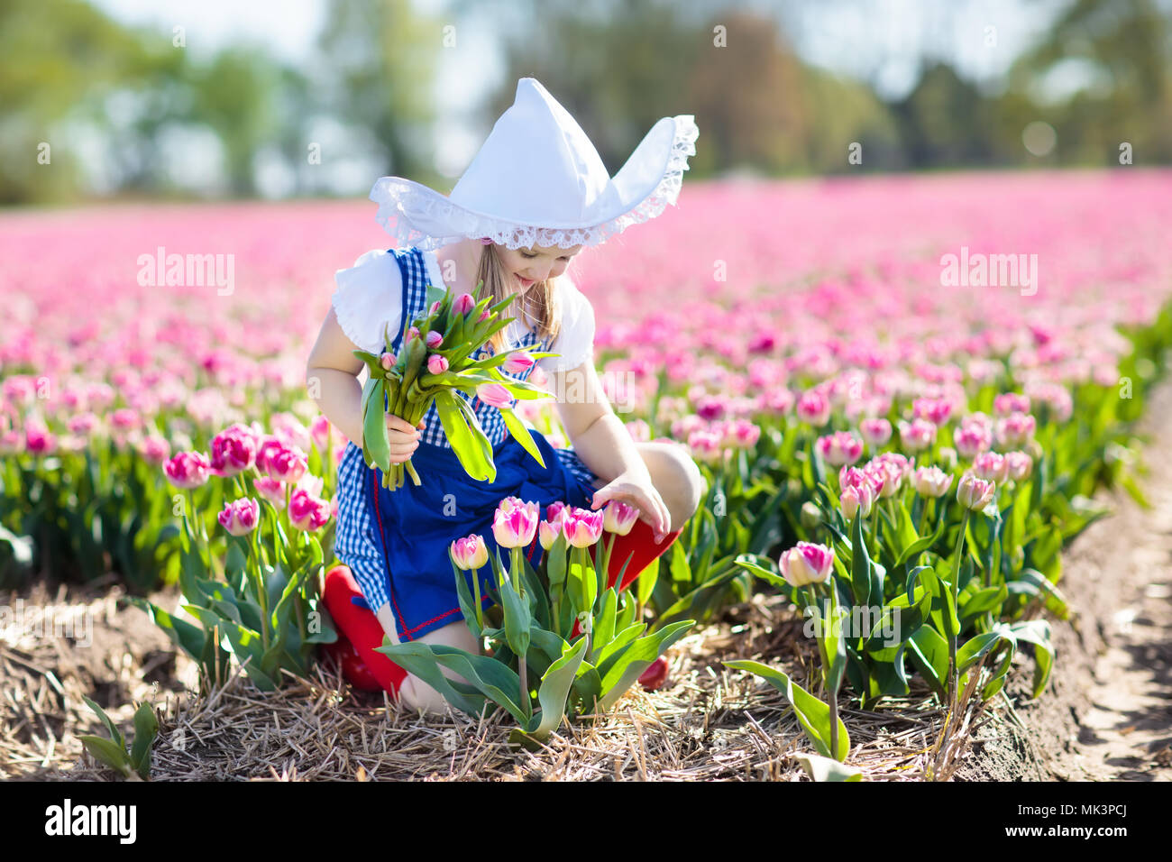 Enfant dans le champ de fleurs tulipes avec moulin en Hollande. Petite fille  néerlandais traditionnel en costume national, sabots en bois, robe et  chapeau, avec une fleur au soleil Photo Stock -