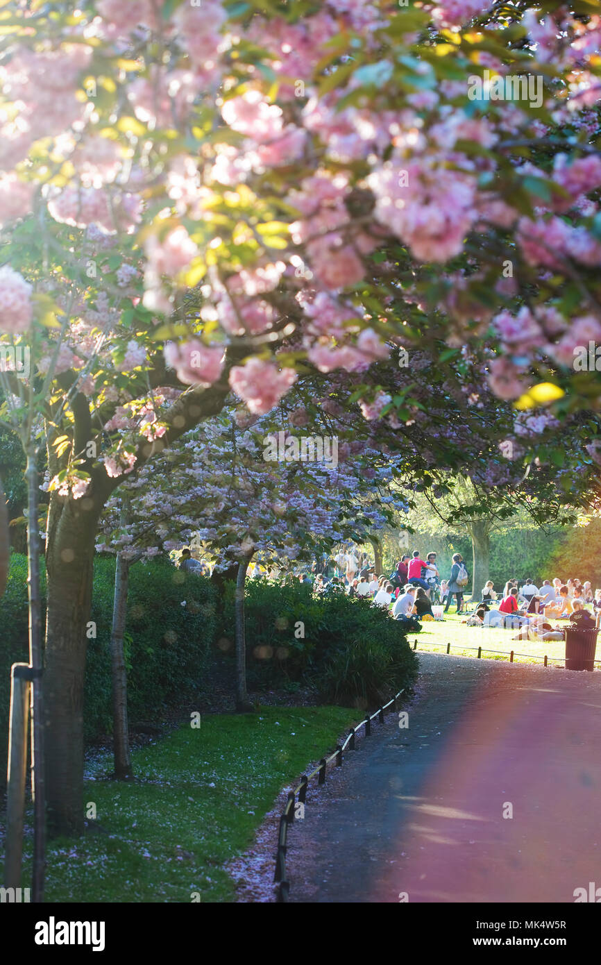 Stephens Green Park Dublin Irlande Mai Week End Férié