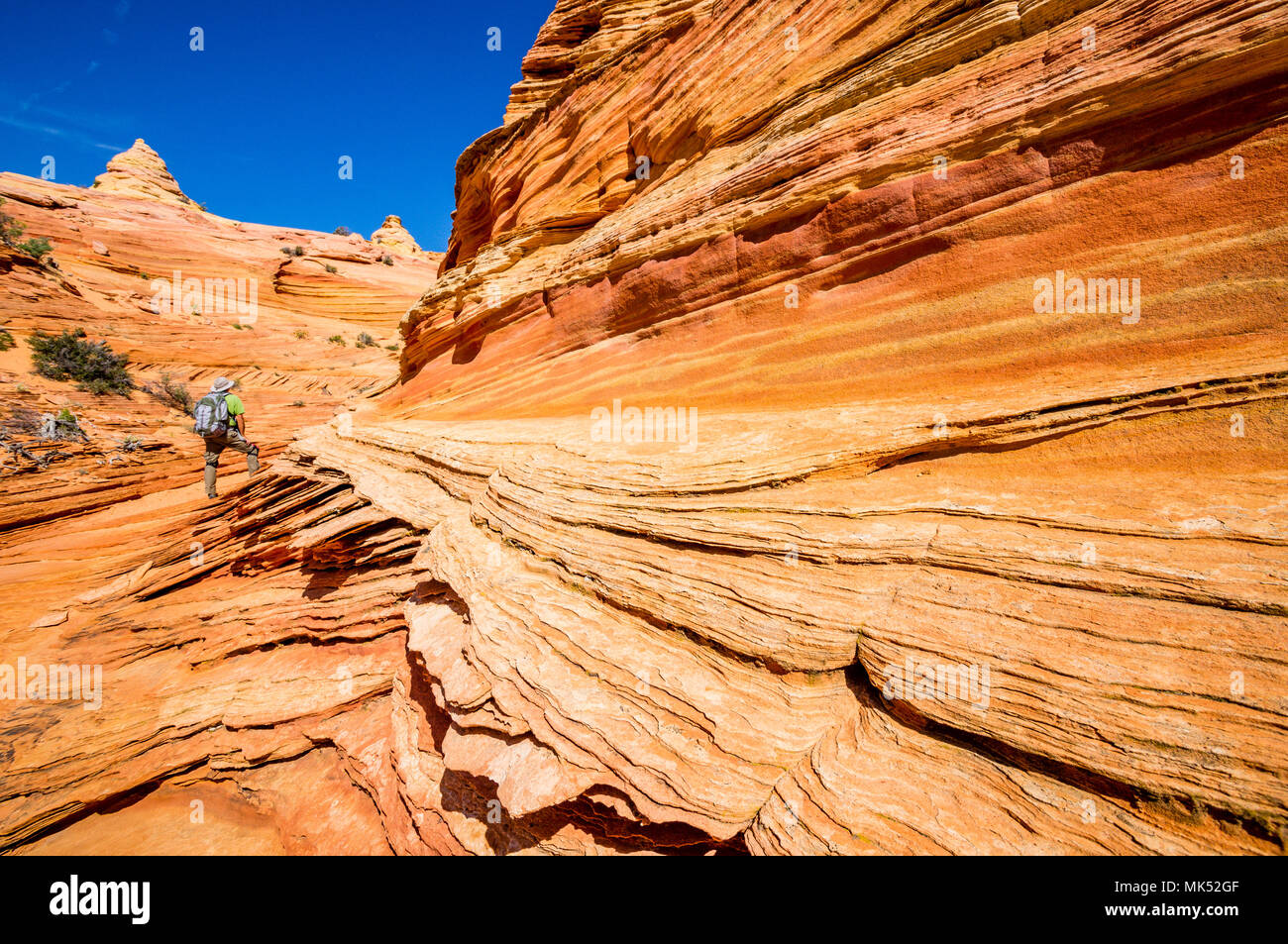 Male Hiker avec pack petite par rapport aux formations de grès colorés du Sud zone Cottonwood Coyote Buttes Vermilion Cliffs National Monument Arizona Banque D'Images