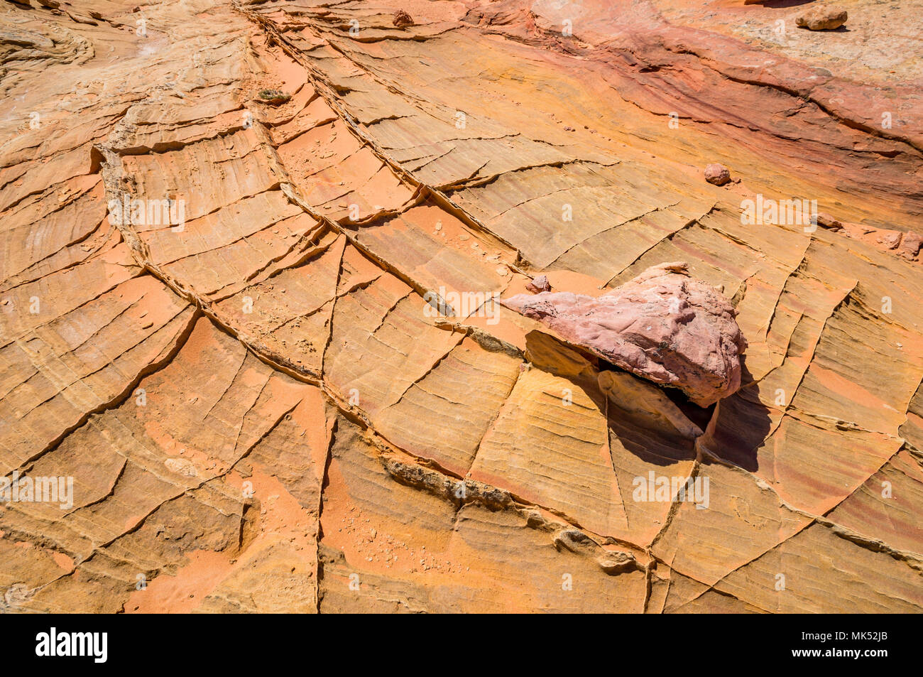 Formations de grès colorés du sud de la zone d'accès Cottonwood Coyote Buttes Vermilion Cliffs National Monument Arizona Etats-unis d'Amérique Banque D'Images