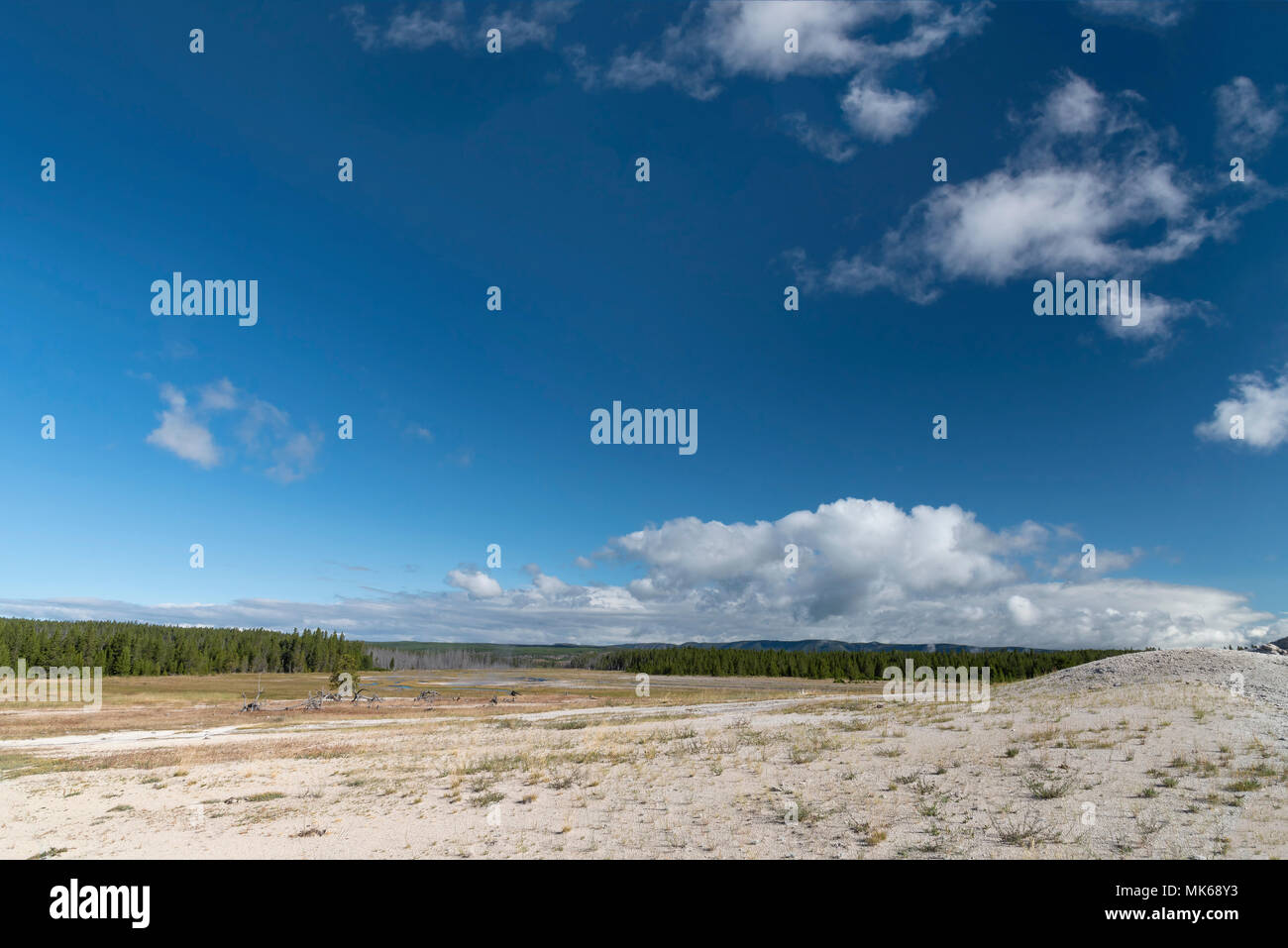 Grand champ vide sans végétation et petite colline de terre blanche, une forêt verte sa dans l'arrière-plan sous un ciel bleu avec des nuages. Banque D'Images
