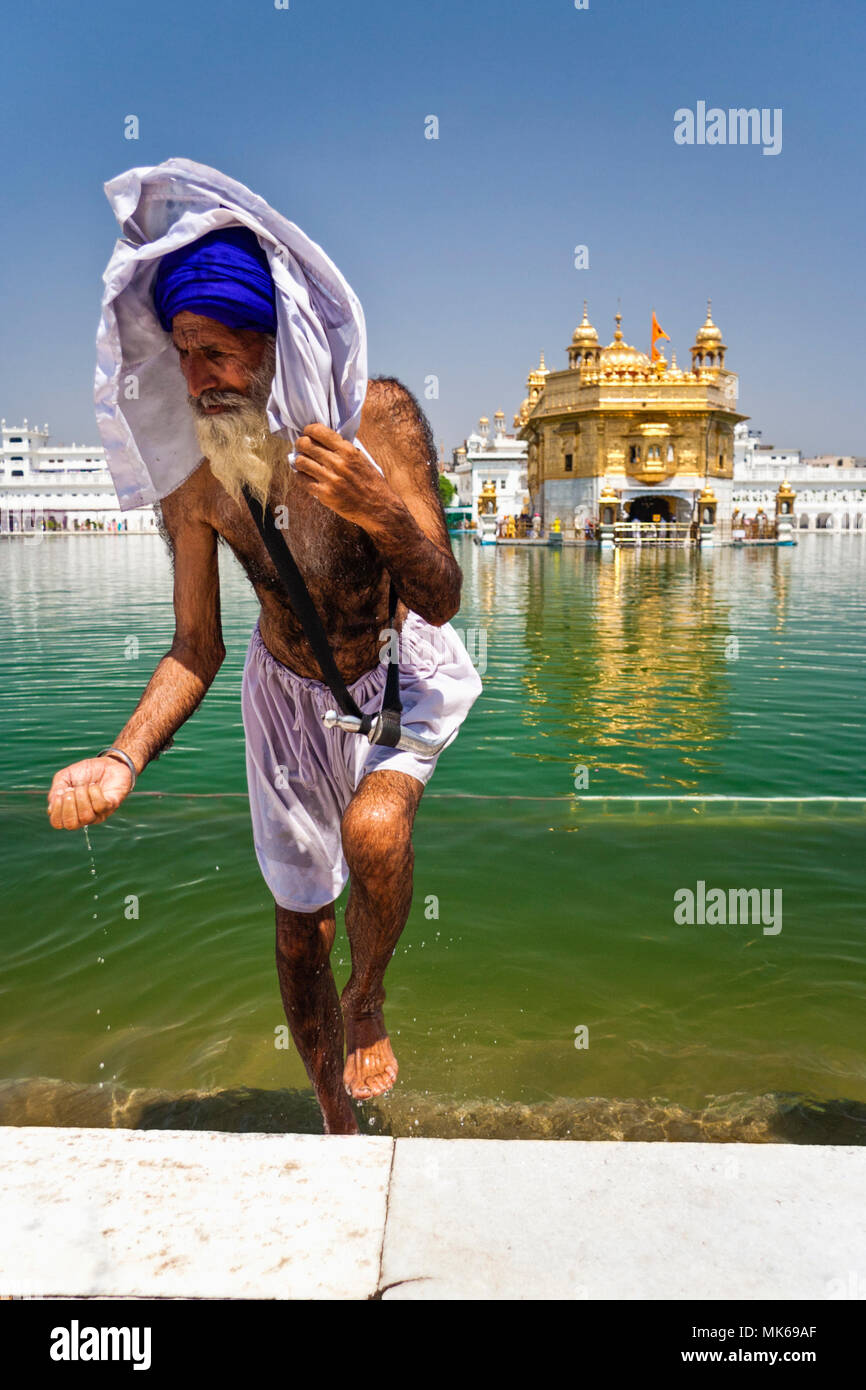 Amritsar, Punjab, India : Un vieil homme sikh sortant de l'Amrit Sarovar Harmandir Sahib à la piscine ou temple d'or tenant de l'eau sainte dans sa main un Banque D'Images