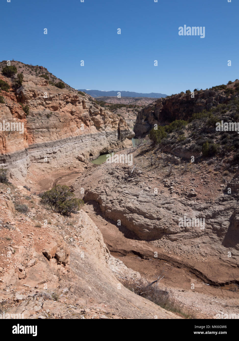 Les parois du canyon coloré de Bighorn Canyon National Recreation Area avec végétation en premier plan avec de minces nuages et ciel bleu au-dessus. Un terrain boueux t Banque D'Images