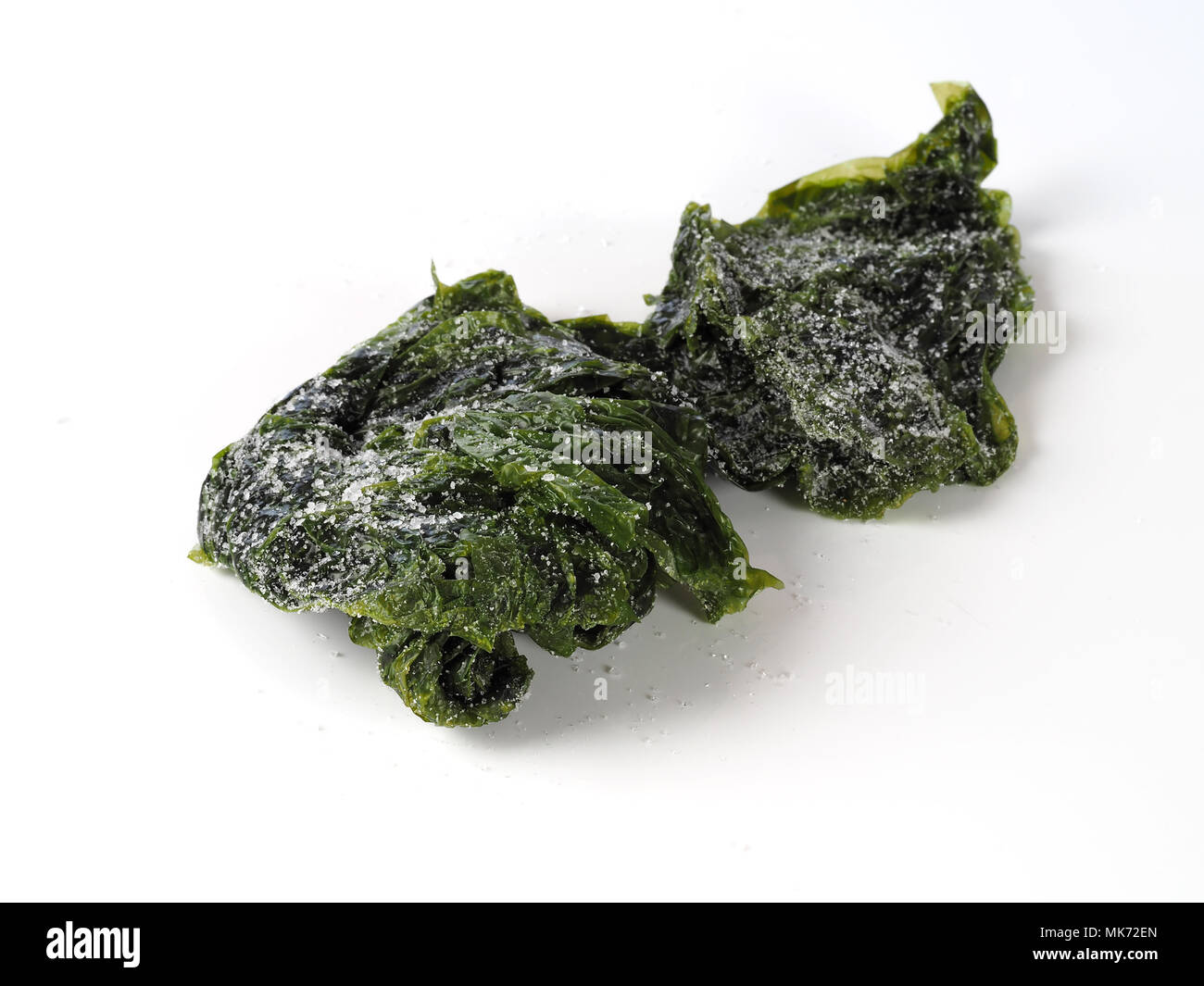 Laitue de mer - Lechuga de Mar algues vertes comestibles dans la famille. Ulvacceae Nom binomial : Ulva lactuta. Banque D'Images