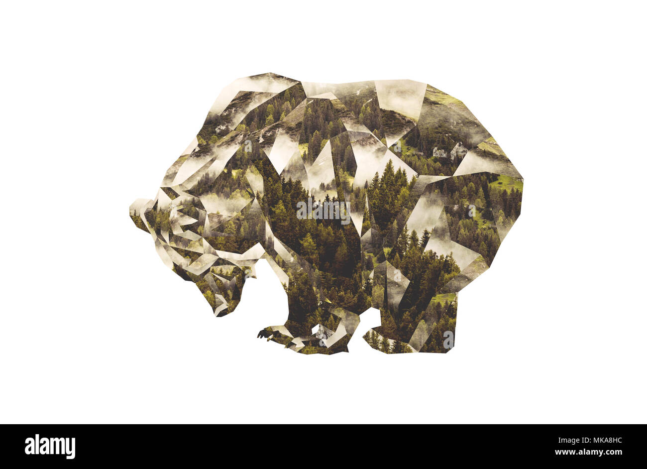 L'ours brun et de conifères. Low Poly Photocollage. Banque D'Images