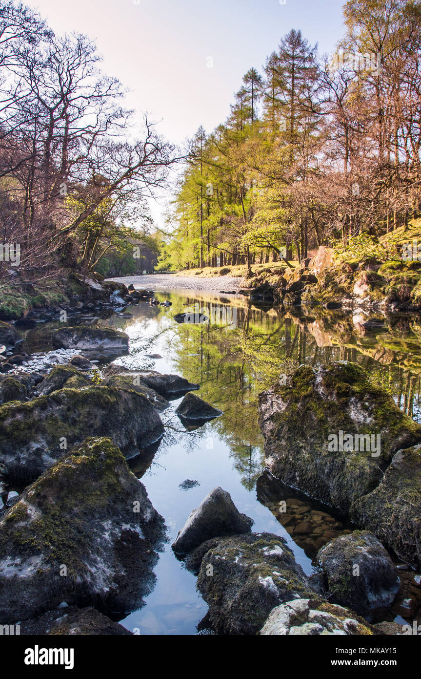 La Derwent, un ruisseau de montagne rocheuse, s'écoule à travers la forêt dans la petite Venise dans le Lake District. Banque D'Images