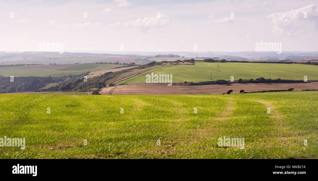 Domaines de pâturages et de cultures sur le paysage vallonné des collines de Purbeck dans south Dorset, Angleterre. Banque D'Images