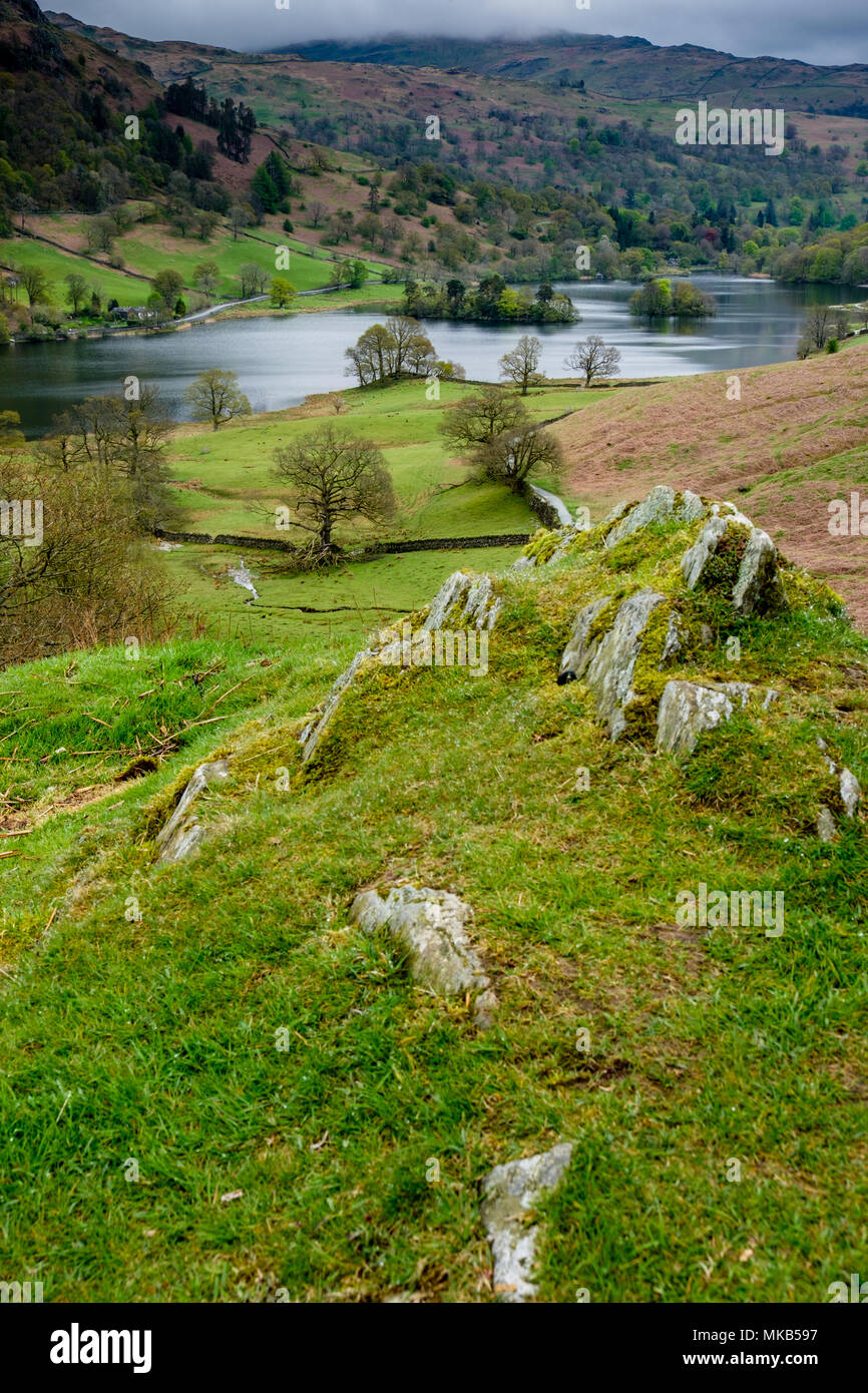 Rydal Water et Heron Island, près de Rydal, Ambleside, Lake District, Cumbria Banque D'Images