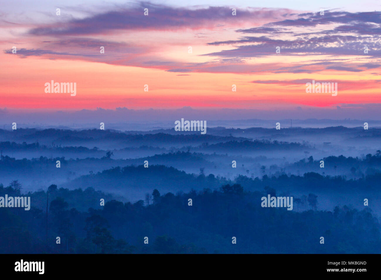 Le lever du soleil sur la jungle Banque D'Images