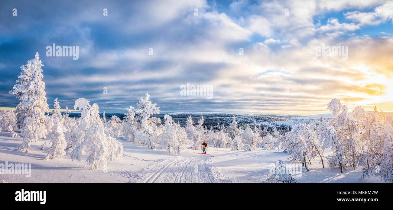 Vue panoramique de jeune homme le ski de fond sur une piste dans le magnifique décor hivernal féérique en Scandinavie avec lumière du soir au coucher du soleil Banque D'Images