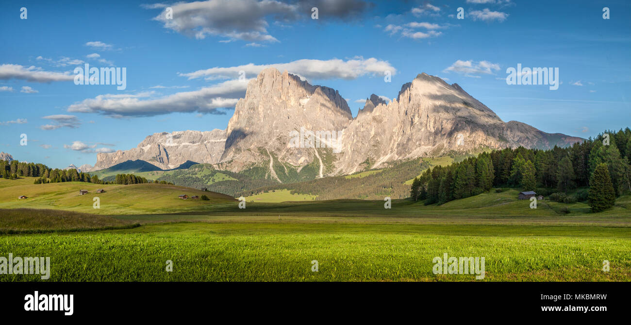 Belle vue sur le paysage de montagne alpin idyllique avec célèbre Langkofel sommet de montagne sur une journée ensoleillée au printemps, à l'Alpe di Siusi, le Tyrol du Sud Banque D'Images