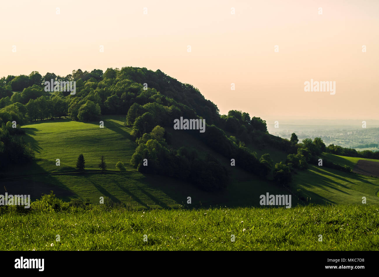 Versant sud de Tul boisées sur la montagne avant le coucher du soleil en Leszna Beskides de Silésie, Gora, Pologne. Banque D'Images