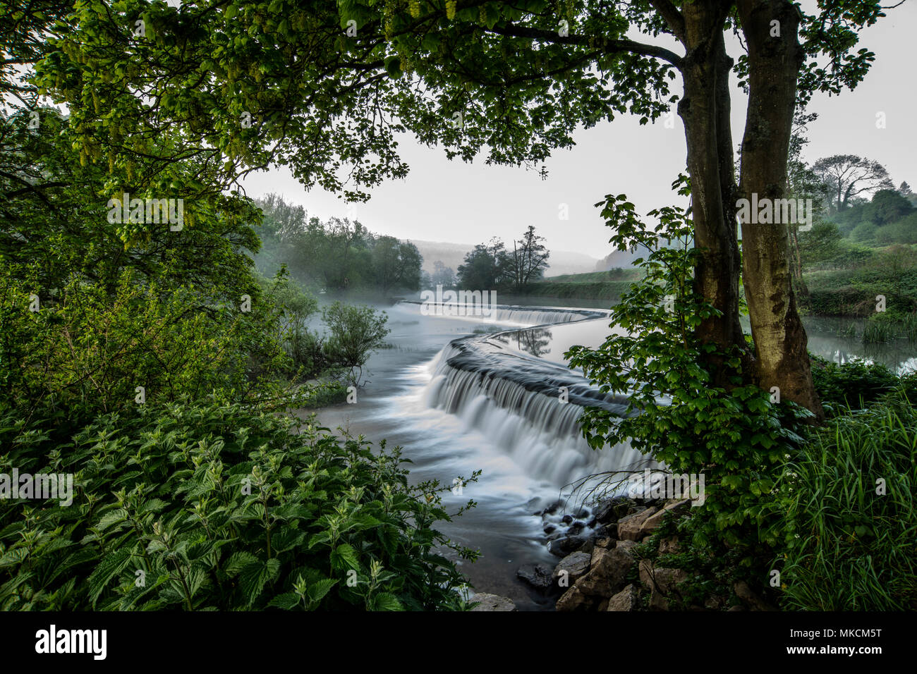 Warleigh Weir sur la rivière Avon près de Bath dans le Somerset. Banque D'Images