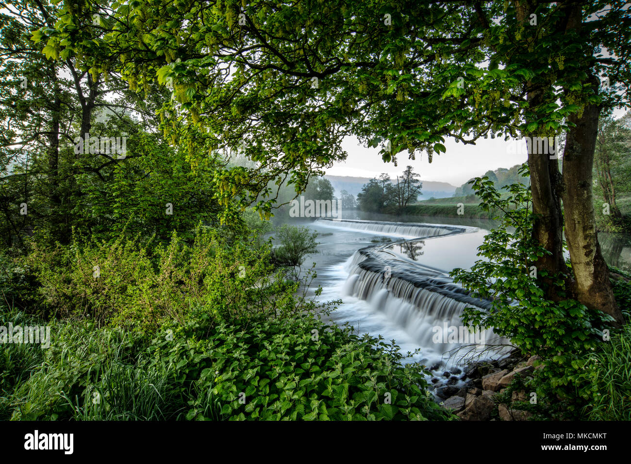 Warleigh Weir sur la rivière Avon près de Bath dans le Somerset. Banque D'Images