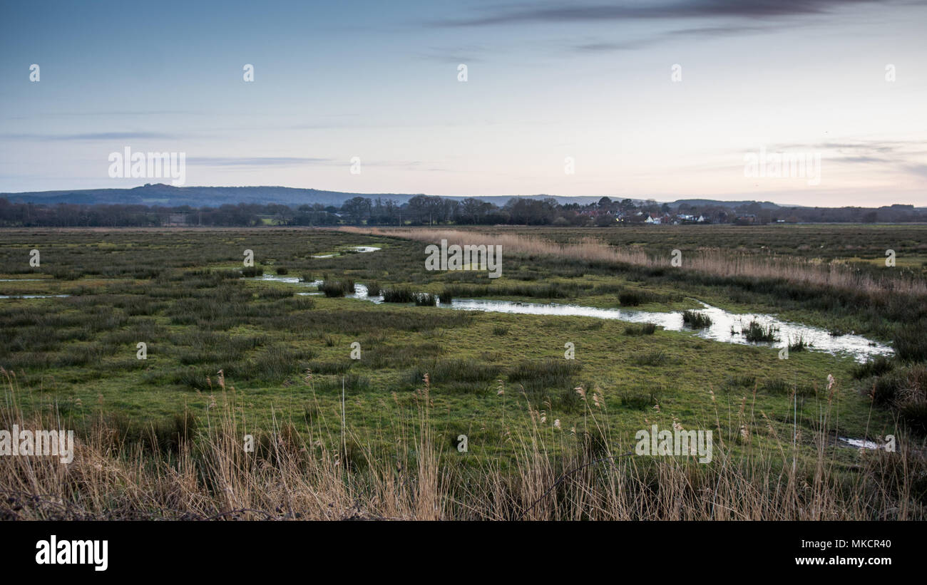 Les champs en Wareham, Dorset, sont traversées par des fossés de drainage sur les plaines inondables de la rivière Frome. Banque D'Images